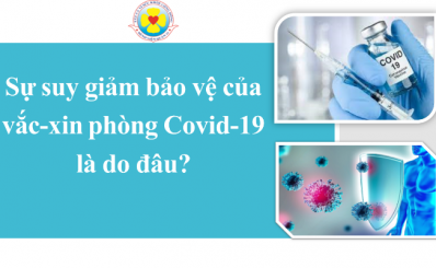 Sự suy giảm bảo vệ của vắc-xin phòng Covid-19 là do đâu?
